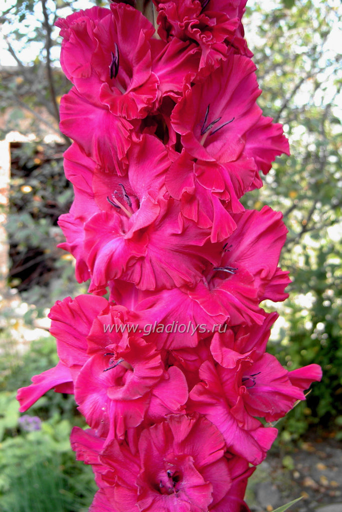 Выбор места для посадки